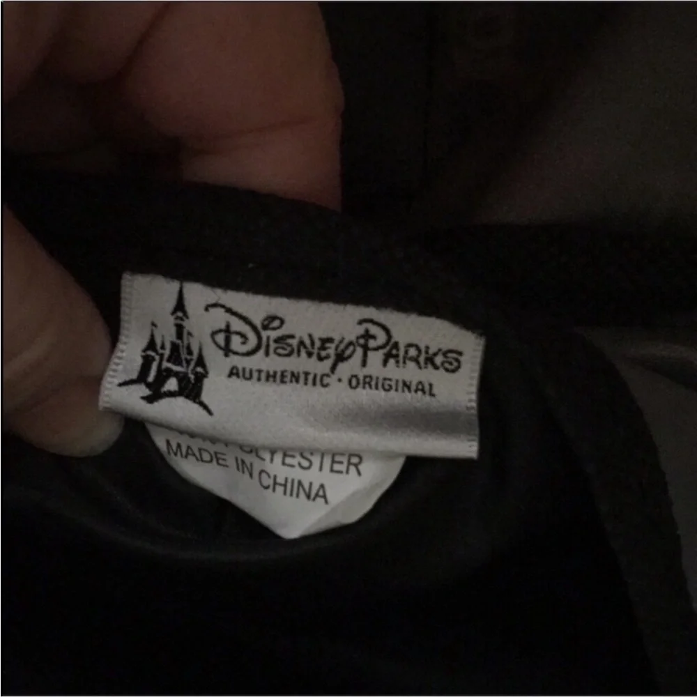 Disney walt world